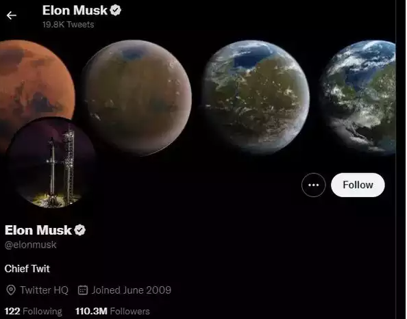 elon musk twitter profile